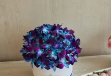 Уход за цветами в корзинках и шляпных коробках