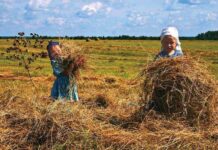 Что можно и что нельзя делать 10 июля, в день Самсона Сеногноя
