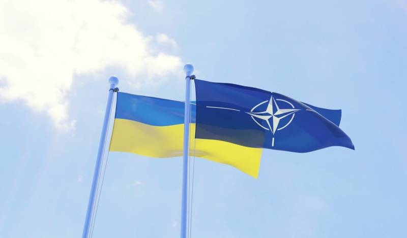 <br />
Почему Германия планирует выступить за отсрочку принятия Украины в НАТО на саммите в Вильнюсе                