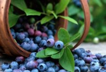 Почему на Афиногенов день 29 июля в лесу не собирали ягоды и не рубили дрова