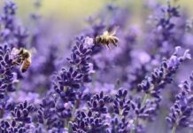 Приметы и поверья на Гавриила Летнего, 26 июля 2023 года: что нельзя делать в этот день