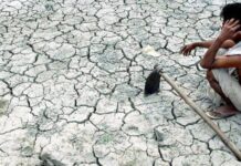 Три миллиарда людей станут климатическими мигрантами