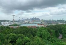 Жестокая расправа: за какое преступление в Сингапуре впервые за долгое время казнили женщину