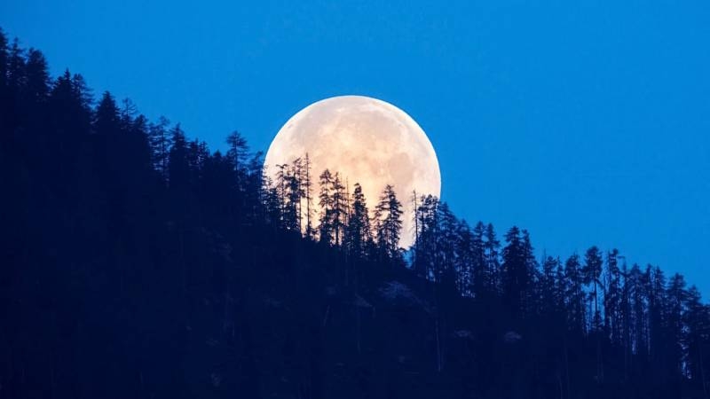 <br />
Голубая Луна: финансовые обряды и особенности полнолуния 31 августа 2023 года                