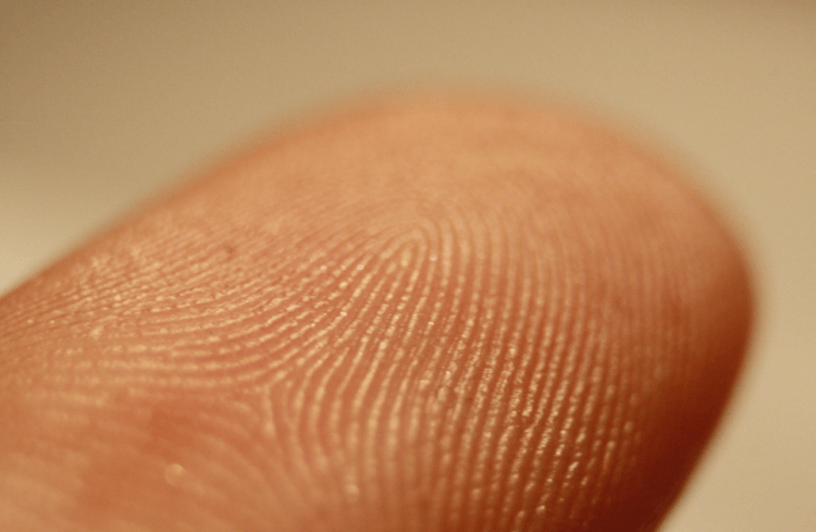 <br />
«Клеточные отпечатки пальцев» указывают на возможность заболеть раком                