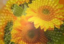 Нумерология суток 12 августа 2023 года: день силы и максимальной активности звездопада Персеиды