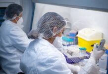 По Европе активно распространяется новый штамм ковида Eris