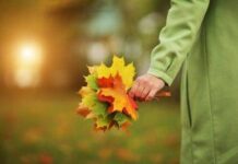 По каким приметам можно предсказать погоду на будущую осень и зиму