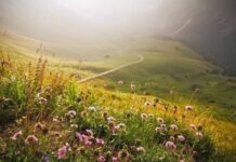 Почему на Руси день Евпатия Коловрата 24 августа считали опасным