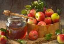 Праздники Преображение Господне, Яблочный Спас, а также святых Марина и Пимена на выходных 19 и 20 августа 2023 года: можно ли работать на огороде