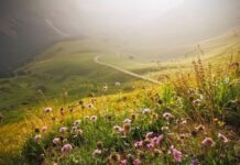 Приметы и поверья на 17 августа 2023 года, что нельзя делать в Авдотьин день