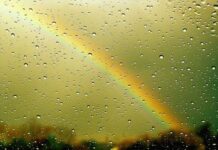 Приметы на Ильин день 2 августа 2023 года: почему каждый хочет сегодня попасть под дождь