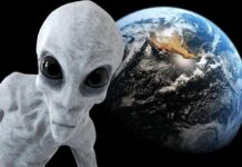 Шестая цивилизация: исследователь предупредил о вытеснении человечества с Земли