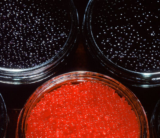 Огромный ассортимент икры в интернет-магазине Ozon