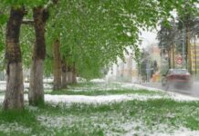 Снег в конце лета: погода в выходные, 26 и 27 августа, удивит россиян