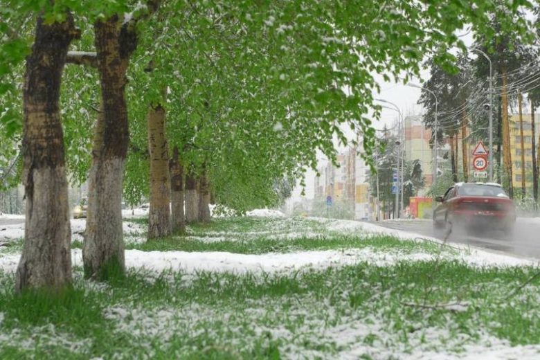 <br />
Снег в конце лета: погода в выходные, 26 и 27 августа, удивит россиян                