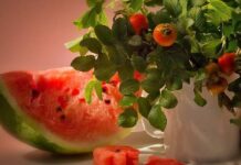 Стратилат Тепляк: приметы и поверья на 1 сентября 2023 года