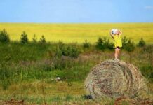 Традиции и ритуалы дня Василия Блаженного и Степана Сеновала 15 августа