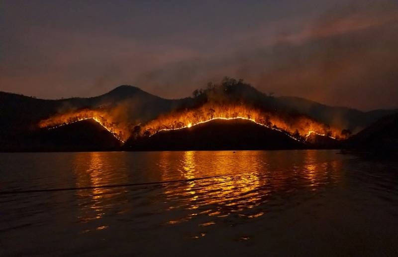 <br />
Турция борется с неудержимыми лесными пожарами: эвакуированы более тысячи человек                