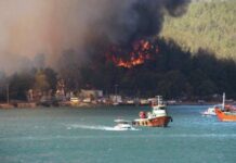 Турция борется с неудержимыми лесными пожарами: эвакуированы более тысячи человек