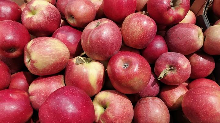 <br />
Запреты Ермолаева дня 8 августа 2023 года: почему нельзя есть яблоки                