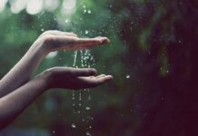 Аномальное бабье лето закончится вместе с сентябрем: прогноз погоды для Москвы, Петербурга, Сибири и Урала с 1 по 15 октября 2023 года