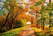 Бабье лето: пять обязательных дел и семь категорических запретов в этот особенный день