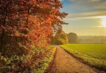 Что важно успеть сделать в народный праздник Корнилов день 26 сентября 2023 года