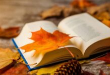 Гороскоп от Ирины Богдан на 13 сентября 2023 года для всех знаков зодиака