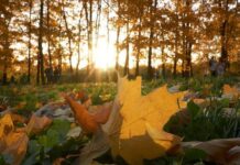 Гороскоп от Ирины Богдан на 5 сентября 2023 года для всех знаков зодиака