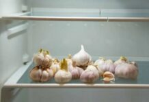 Как правильно посадить озимый чеснок осенью 2023 года: советы для успешного урожая