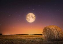 Магическое полнолуние Кукурузной Луны: время для обновления и вдохновения