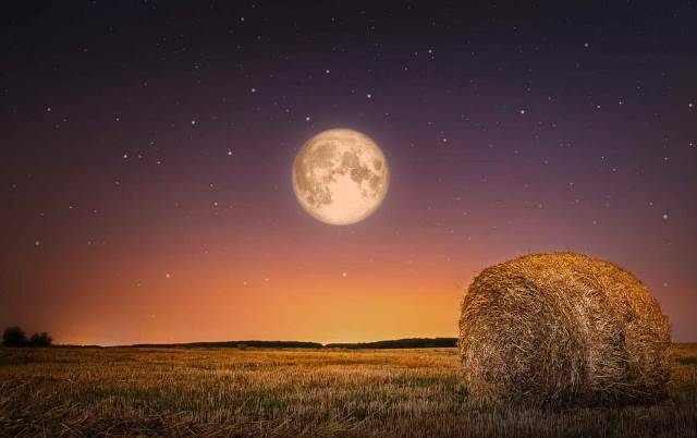 <br />
Магическое полнолуние Кукурузной Луны: время для обновления и вдохновения                