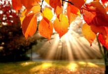 Попразднство Рождества Пресвятой Богородицы 22 сентября: традиции и приметы