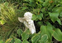 Празднование дня святой Евфимии Всехвальной и Птичьей костки: запреты, дела, приметы и традиции 29 сентября