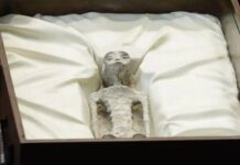 Раскрываем миф: показ останков инопланетян в Мексике