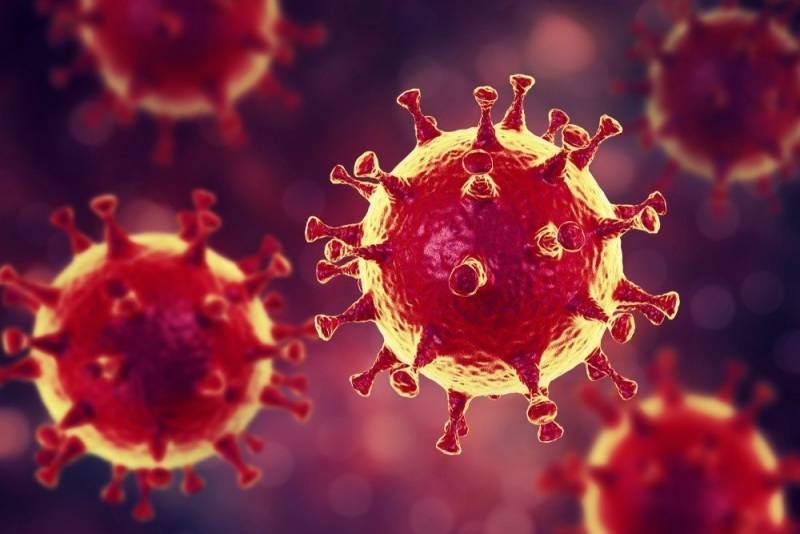 <br />
Распространение нового штамма коронавируса «Пирола» и меры предосторожности                