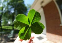 Рейтинг удачи знаков зодиака на неделю с 25 сентября по 1 октября 2023 года