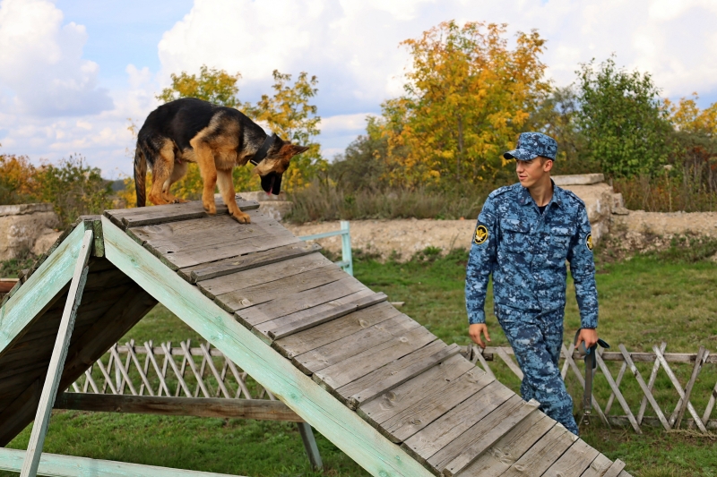 В Челябинской области на службу в тюрьму и СИЗО отправили шесть щенков