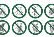 Способы борьбы с насекомыми-вредителями