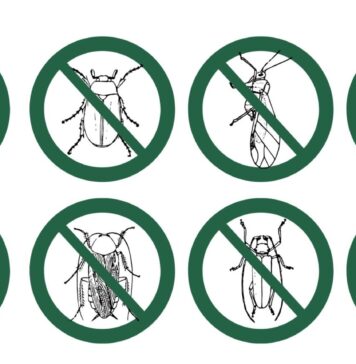 Способы борьбы с насекомыми-вредителями