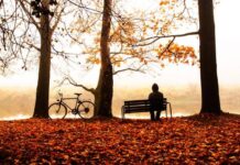 Астрологическое предупреждение: что принесет человечеству Охотничье полнолуние в Тельце