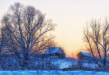 Частые скачки температуры ожидаются этой зимой в Центральной России