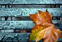 День всех святых-2023: что нужно обязательно сделать в день, когда мертвые слышат живых