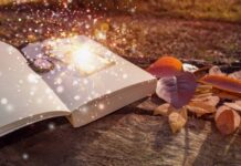 Гороскоп карьеры и денег на сегодня, 30 октября 2023 года