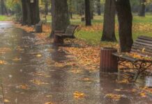 Гороскоп от Ирины Богдан на 1 ноября 2023 года для всех знаков зодиака