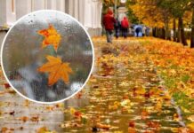 Гороскоп от Ирины Богдан на 25 октября 2023 года для всех знаков зодиака