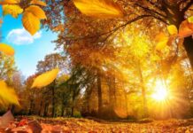 Грехи недели: что можно и что нельзя делать со 2 по 8 октября 2023 года