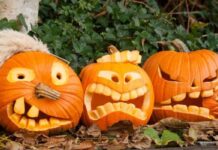 Хэллоуин в 2023 году: дата и мрачные традиции праздника