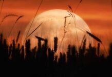 Какие дела надо успеть сделать в период растущей Луны до 28 октября 2023 года